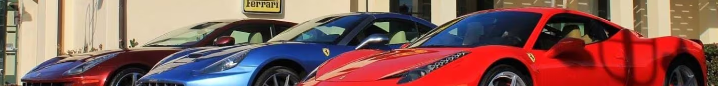 Modern Exotics For Sale banner