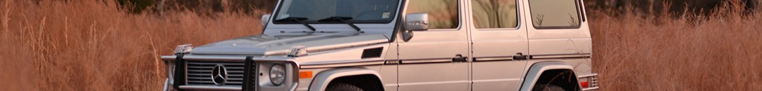 Sport SUVs For Sale banner